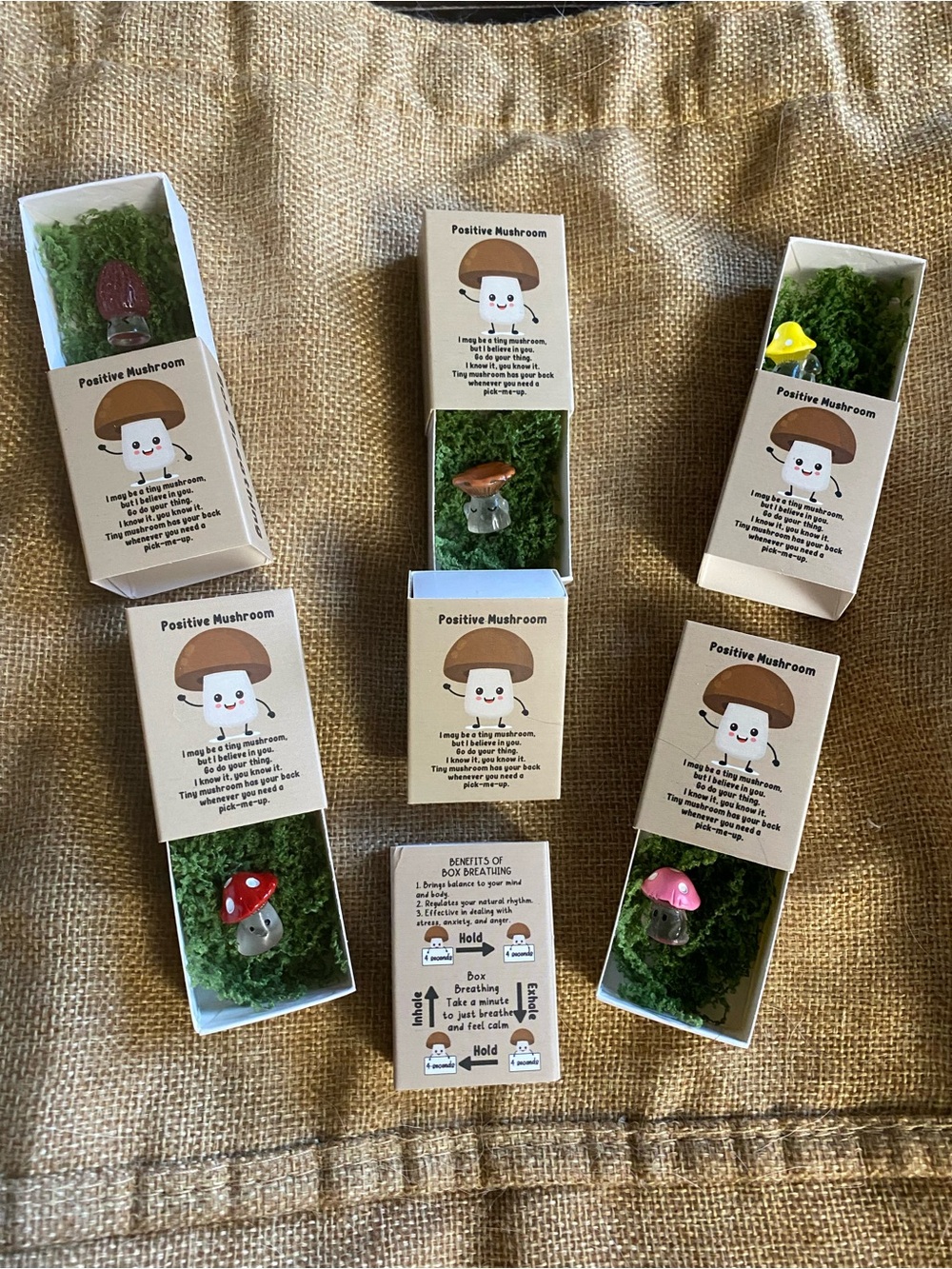 Affirmation Glow in Dark Mushroom Appreciation Box Breathing Emotional Anxiety